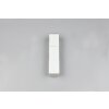 Trio lights Raglan wall light LED white, 2-light sources