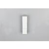 Trio lights Raglan wall light LED white, 2-light sources