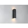 Trio lights Raglan wall light LED black, 2-light sources