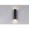 Trio lights Raglan wall light LED black, 2-light sources