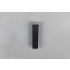 Trio lights Raglan wall light LED black, 2-light sources