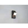 Trio lights Raglan wall light LED black, 1-light source