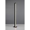 Trio lights Seeker floor lamp LED black, 1-light source