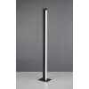 Trio lights Seeker floor lamp LED black, 1-light source