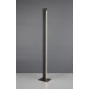 Trio lights Seeker floor lamp LED black, 1-light source