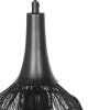 Trio lights SORAYA pendant light black, 1-light source