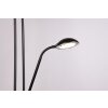 Reality lights Spock floor lamp LED black, 2-light sources