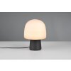 Trio lights Steen table lamp black, 1-light source