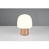 Mushroom Lamp  Trio lights Steen table lamp brown, 1-light source