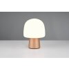 Mushroom Lamp  Trio lights Steen table lamp brown, 1-light source