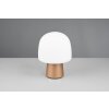 Mushroom Lamp  Trio lights Steen table lamp brown, 1-light source