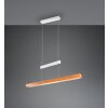 Trio lights Trajan pendant light LED white, 1-light source