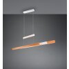 Trio lights Trajan pendant light LED white, 1-light source