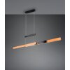 Trio lights Trajan pendant light LED black, 1-light source