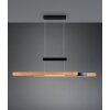 Trio lights Trajan pendant light LED black, 1-light source