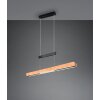 Trio lights Trajan pendant light LED black, 1-light source