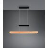 Trio lights Trajan pendant light LED black, 1-light source