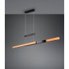 Trio lights Trajan pendant light LED black, 1-light source