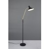 Trio lights Traveller floor lamp black-gold, 1-light source