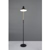 Trio lights Traveller floor lamp black-gold, 1-light source