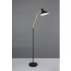 Trio lights Traveller floor lamp black-gold, 1-light source