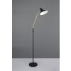 Trio lights Traveller floor lamp black-gold, 1-light source