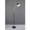 Trio lights Traveller floor lamp black-gold, 1-light source