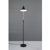 Trio lights Traveller floor lamp black-gold, 1-light source