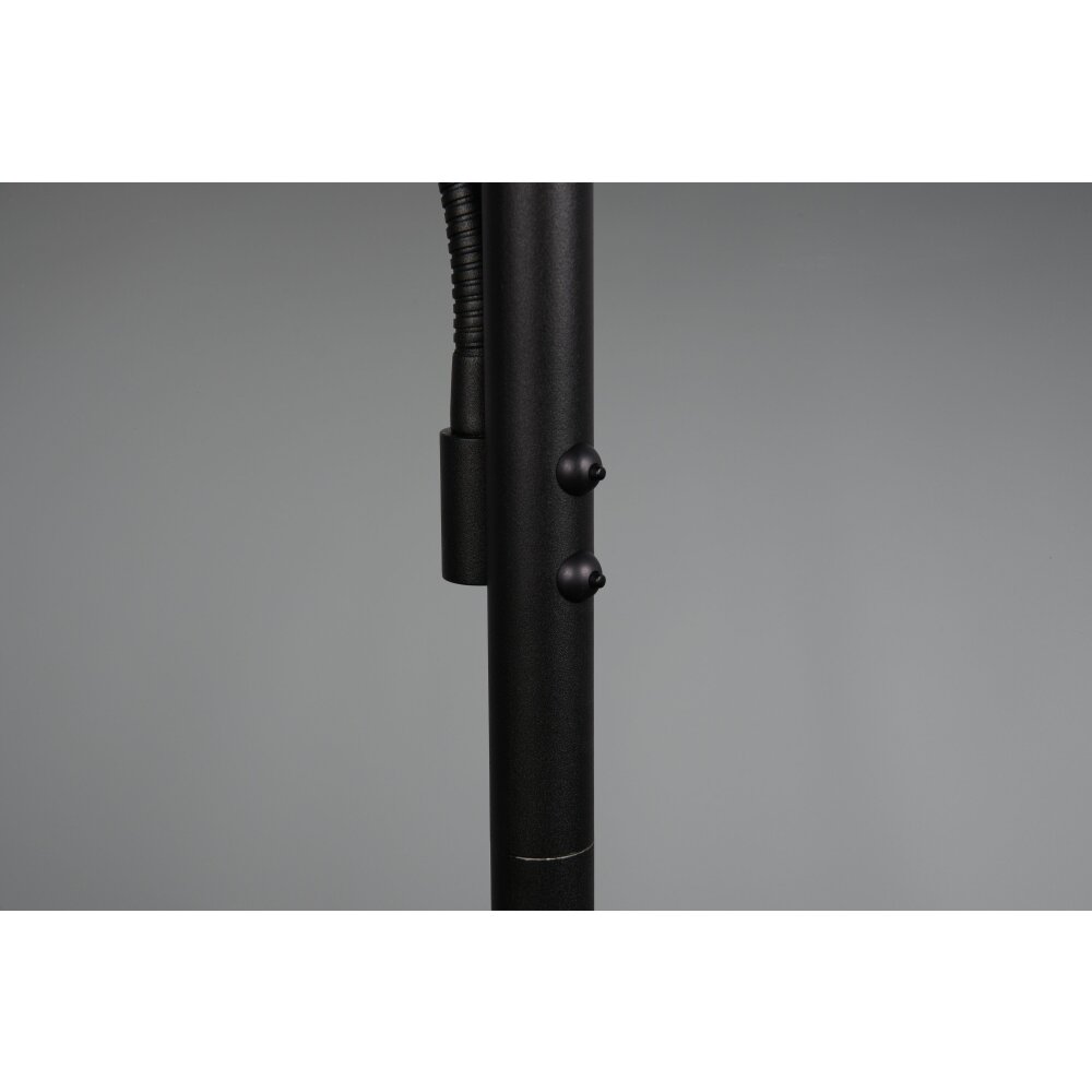 Trio lights Willis floor lamp LED black, 2-light sources