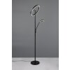 Trio lights Willis floor lamp LED black, 2-light sources