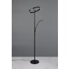 Trio lights Willis floor lamp LED black, 2-light sources