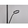 Trio lights Willis floor lamp LED black, 2-light sources