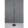 Trio lights Willis floor lamp LED black, 2-light sources