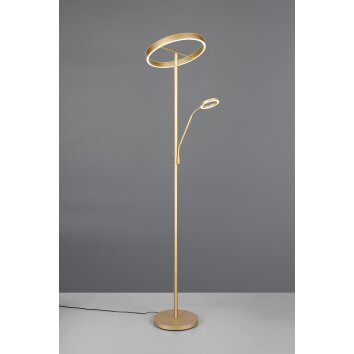 Trio lights Willis floor lamp LED gold, 2-light sources