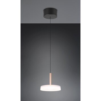 Trio lights Celeste pendant light LED brown, 1-light source