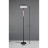 Trio lights Celeste floor lamp LED brown, 1-light source