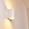 Outdoor Wall Light Pailly LED white, 2-light sources