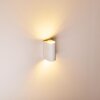 Outdoor Wall Light Pailly LED white, 2-light sources