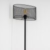 Conewago Floor Lamp black, 1-light source