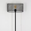 Conewago Floor Lamp black, 1-light source