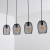 Conewago Pendant Light black, 4-light sources