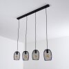 Conewago Pendant Light black, 4-light sources