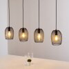 Conewago Pendant Light black, 4-light sources