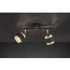 Wofi GROVE Ceiling Light black, 2-light sources