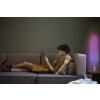 Ledvance Lights FLOOR floor lamp LED white, 1-light source, Remote control