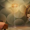 Ledvance Lights DECOR wall and ceiling light beige, 1-light source