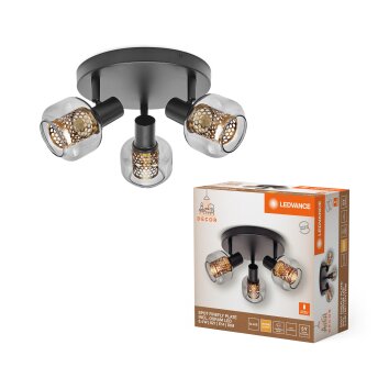 Ledvance Lights DECOR wall and ceiling light black, 3-light sources