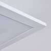 CAMBOTE Ceiling Light LED white, 1-light source, Remote control