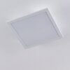 CAMBOTE Ceiling Light LED white, 1-light source, Remote control