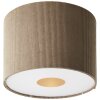 Brilliant lights Tony ceiling light grey, 1-light source